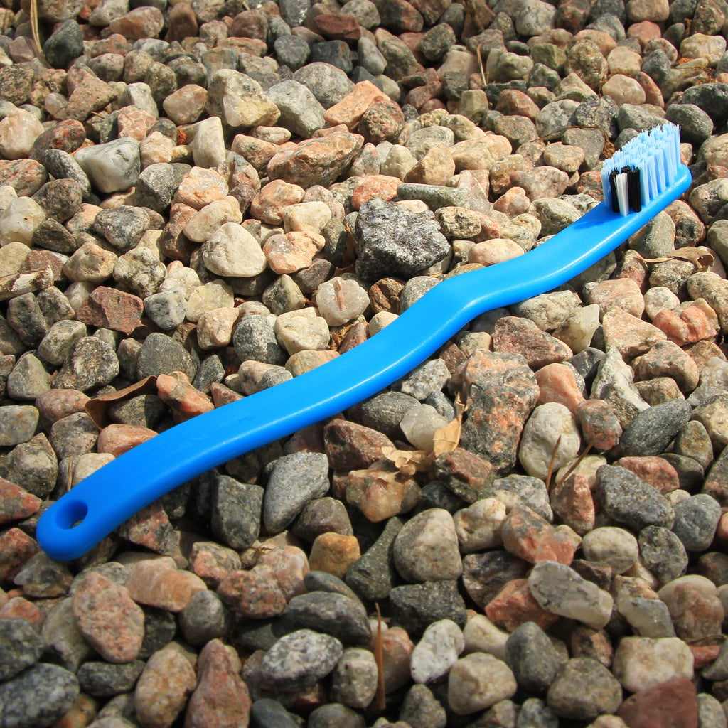 BLUE BIRD / Toothbrush - Yumaki
