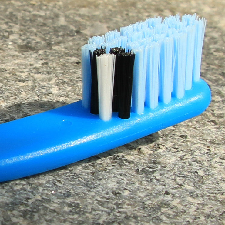 BLUE BIRD / Toothbrush - Yumaki